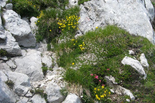 V. Rateška Ponca iz Belop. jez.  20.7.12 - foto