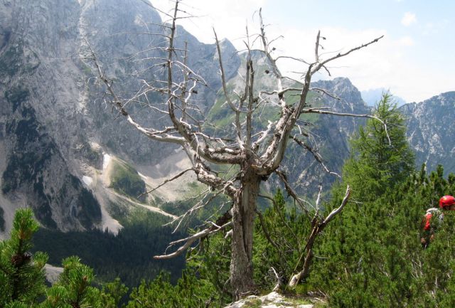 V. Rateška Ponca iz Belop. jez.  20.7.12 - foto