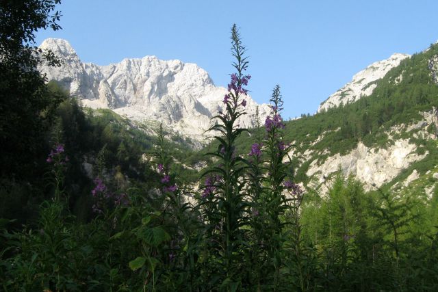 Zapotok in velika vrata, 28.07.12 - foto