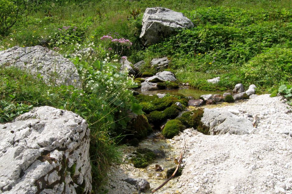 Zapotok in velika vrata, 28.07.12 - foto povečava