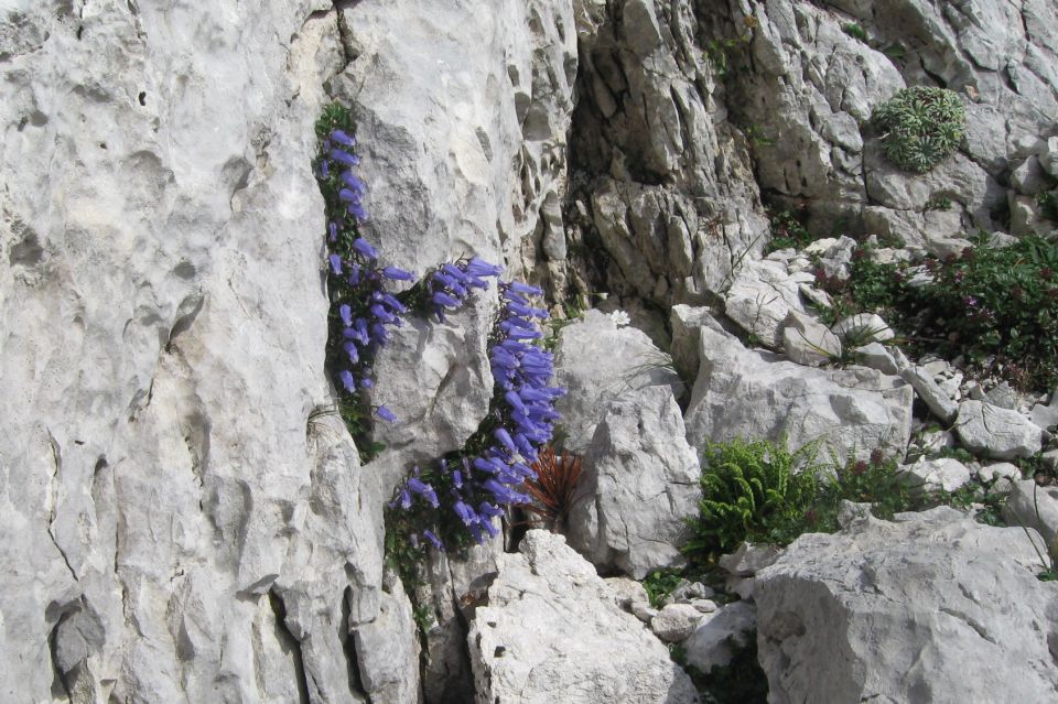 Veliki vrh in velika Zelenica, 04.08.2012 - foto povečava