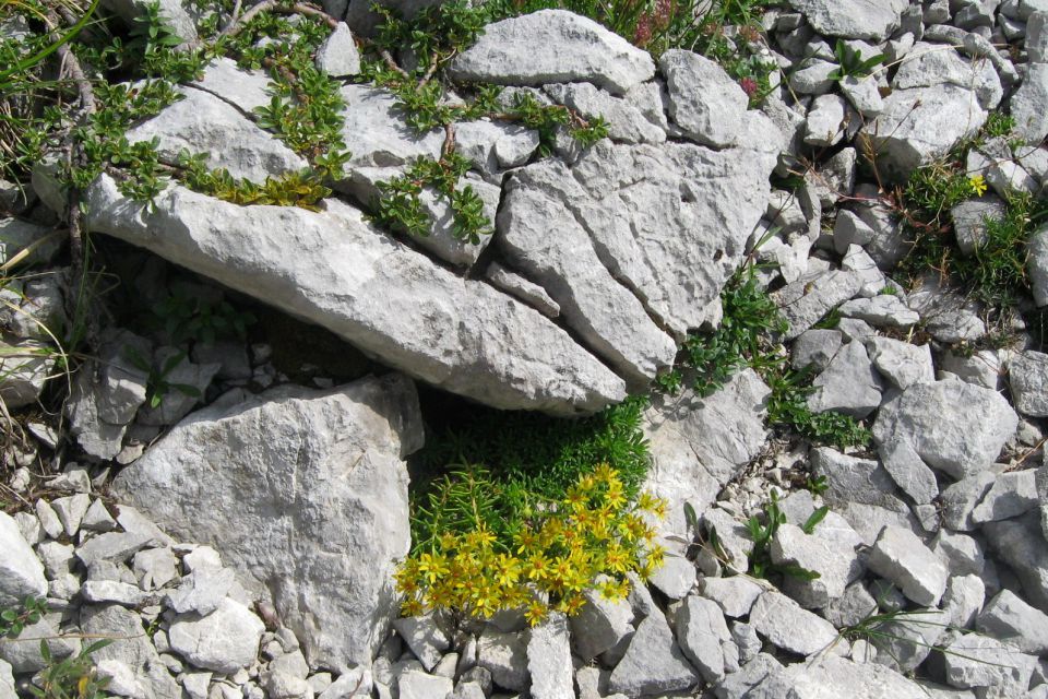 Veliki vrh in velika Zelenica, 04.08.2012 - foto povečava