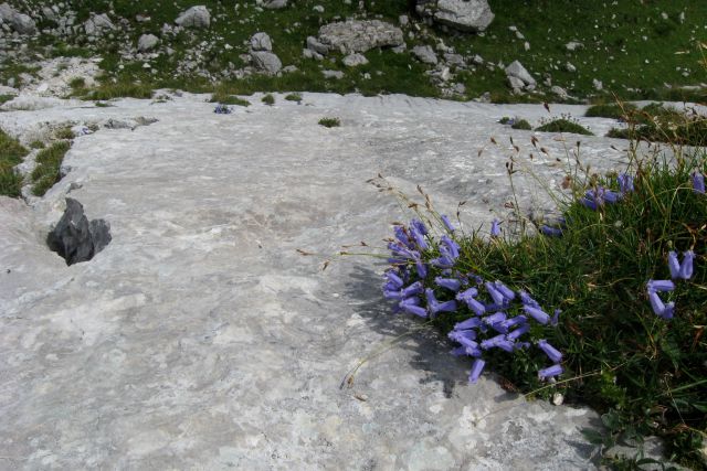 Veliki vrh in velika Zelenica, 04.08.2012 - foto