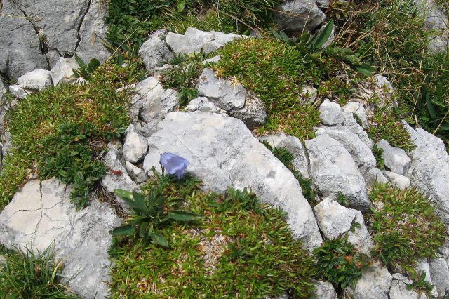 Mišelj vrh čez Koštrun. - Miš. konc  29.08.12 - foto