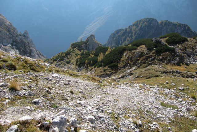 M. materhorn, desno je kališče