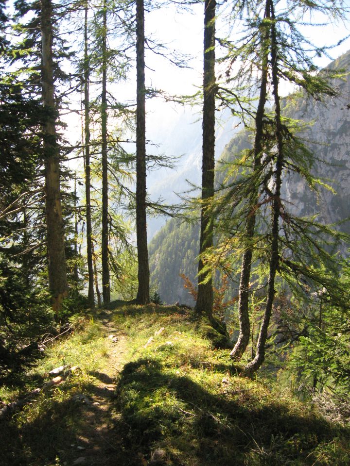 šplevta  - 2272m,  06.10.12 - foto povečava