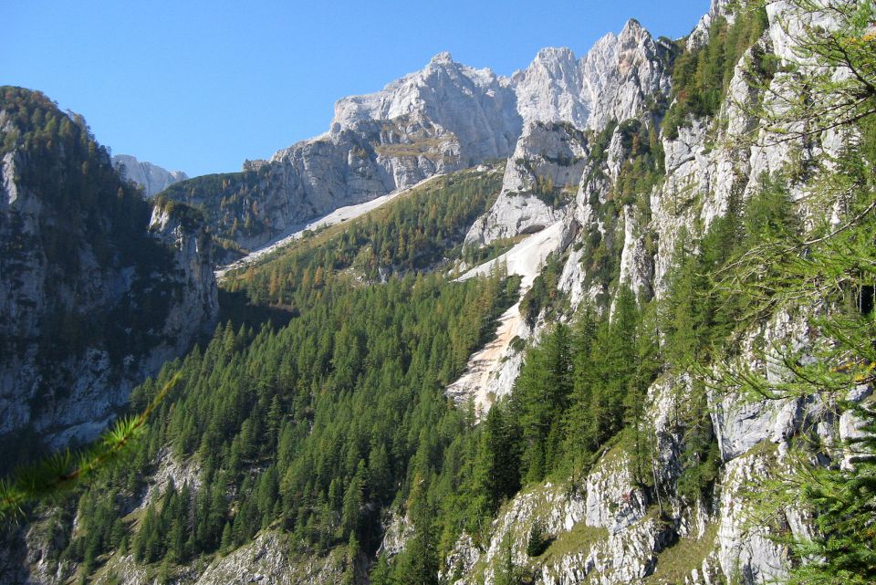 šplevta  - 2272m,  06.10.12 - foto povečava