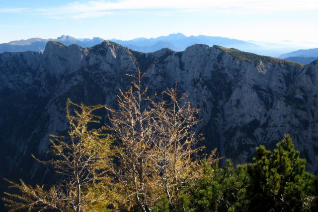 Debela peč, brda, mrežce