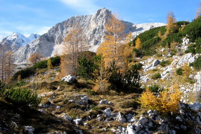 Veliki Pršivec + Teme  19.10.12 - foto