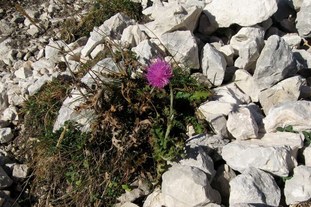 KUKOVA ŠPICA  - 25.10.12 - foto