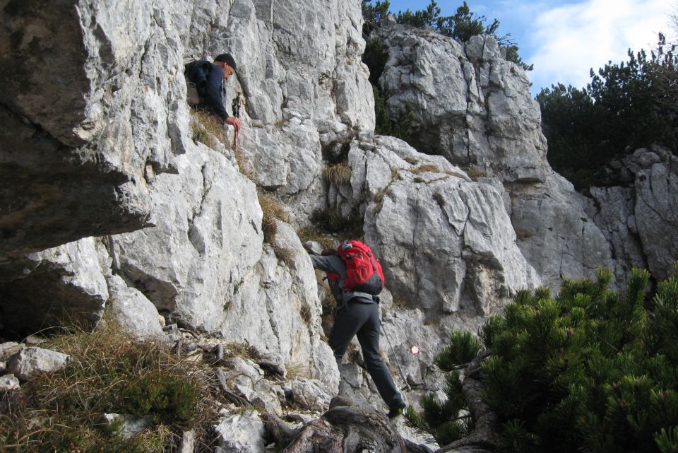 Brda  10.11.12 - foto povečava