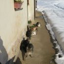 oj, mata kej za nas? smo večno lačni...