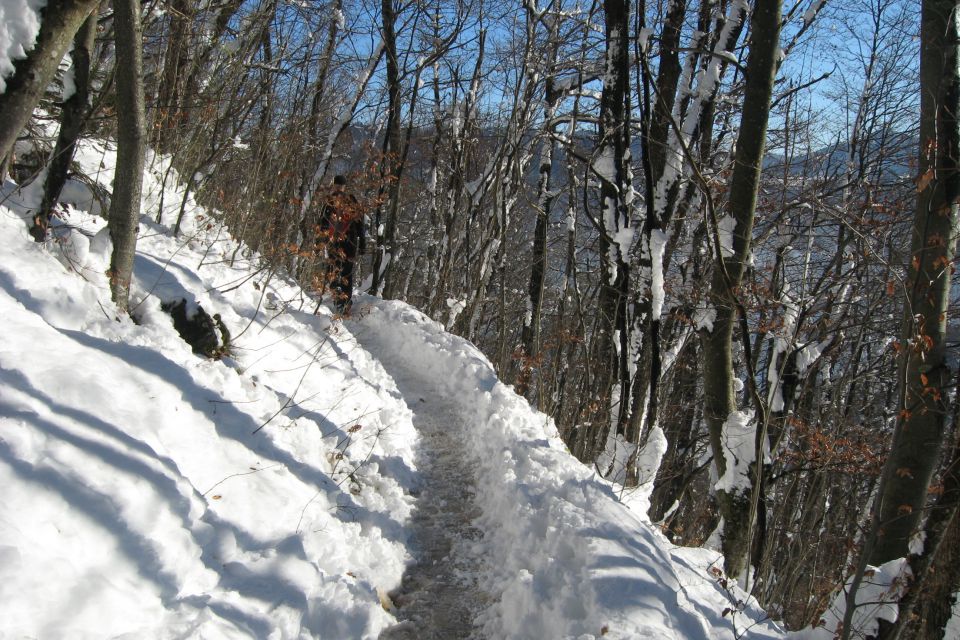 Lubnik za Petro 9.12.12 - foto povečava