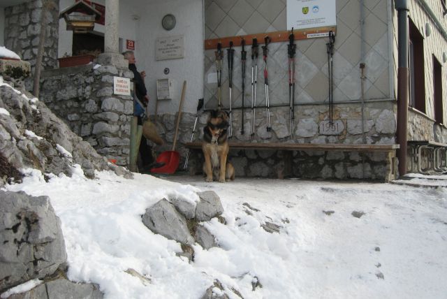 Pasja potrpežlivost ...