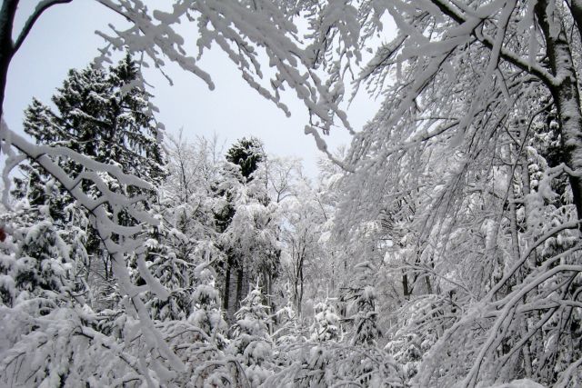 LUBNIK 03.02.2013 - foto