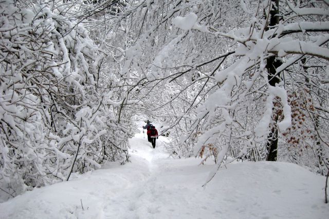 LUBNIK 03.02.2013 - foto