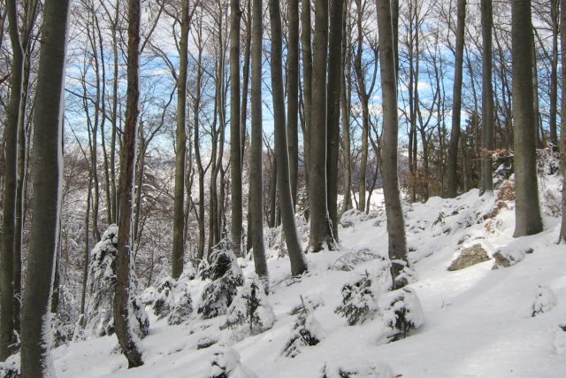 LUBNIK 03.02.2013 - foto