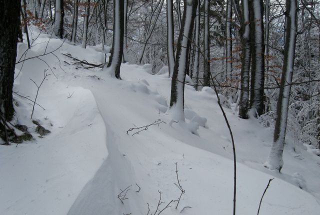 LUBNIK 03.02.2013 - foto