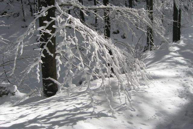 LUBNIK 03.02.2013 - foto