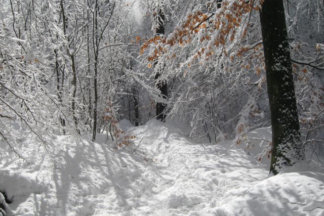 LUBNIK 03.02.2013 - foto