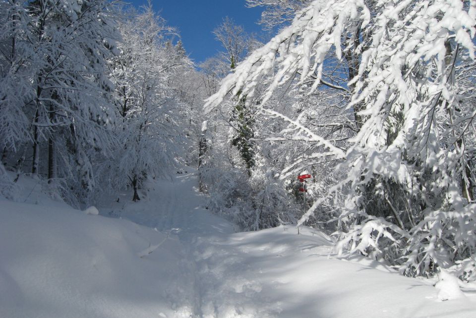 KRIM - 07.02.2013 - foto povečava