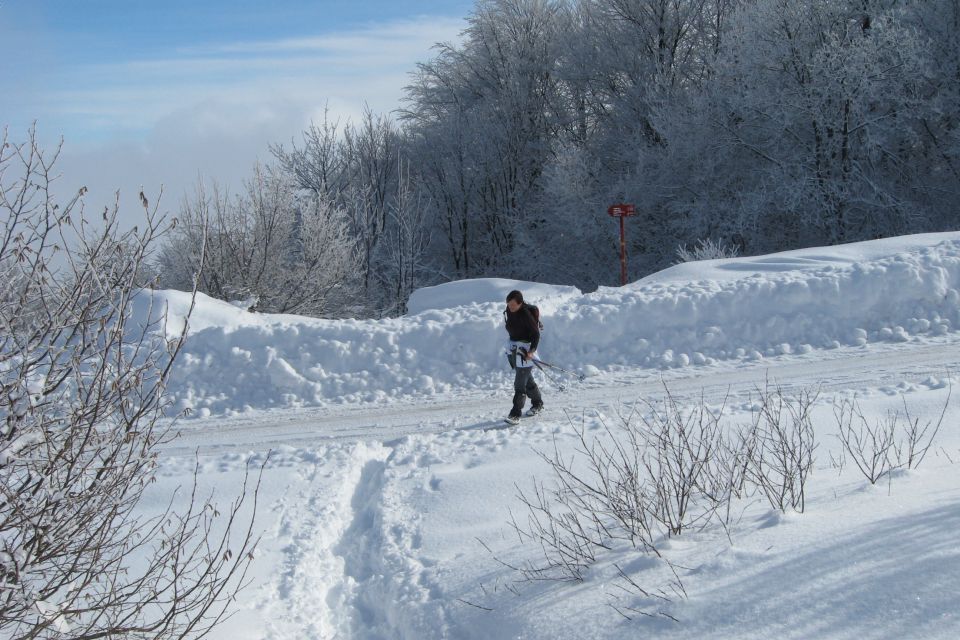 KRIM - 07.02.2013 - foto povečava