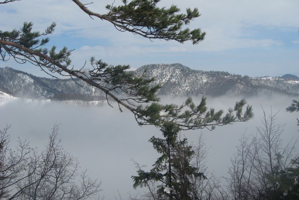 P. GRMADA  25.02.2013 - foto povečava