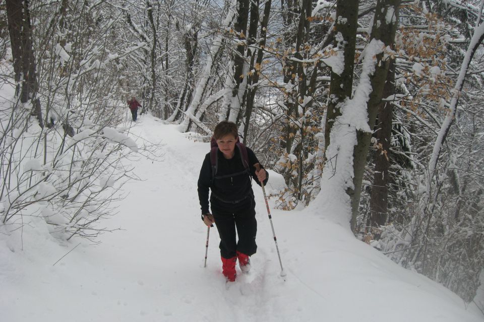 LUBNIK - 27.marec.2013 - foto povečava