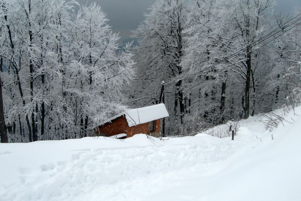 LUBNIK - 27.marec.2013 - foto povečava