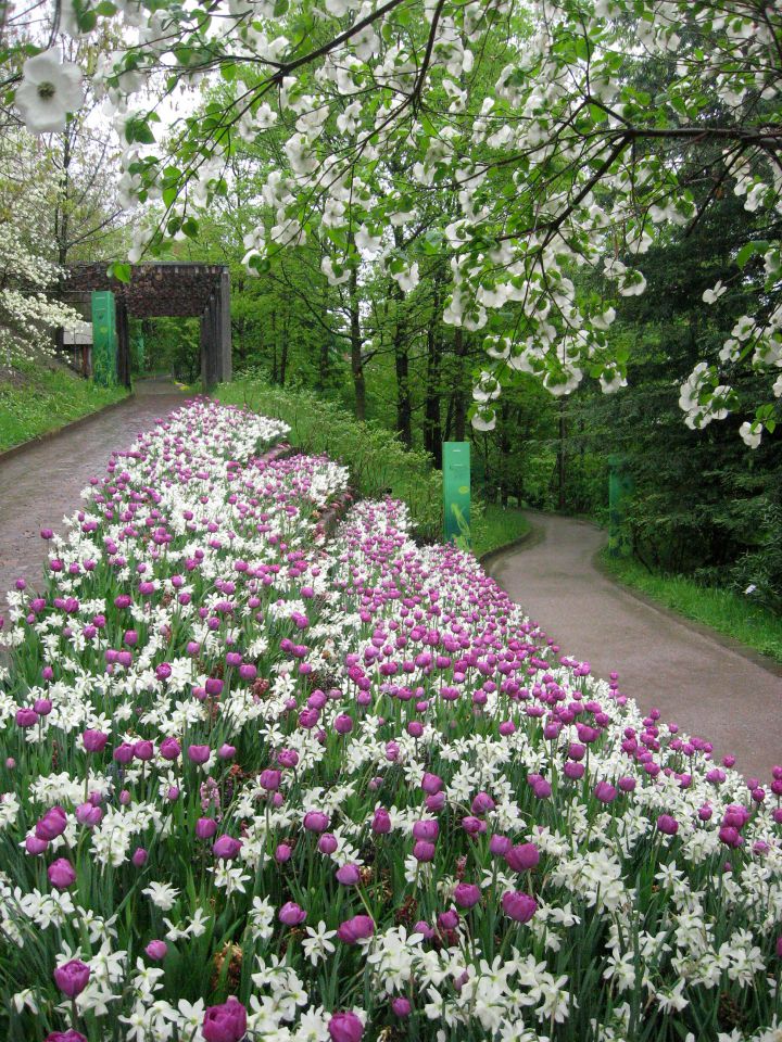 Vrtovi v Dolomitih  27.4.13 - foto povečava