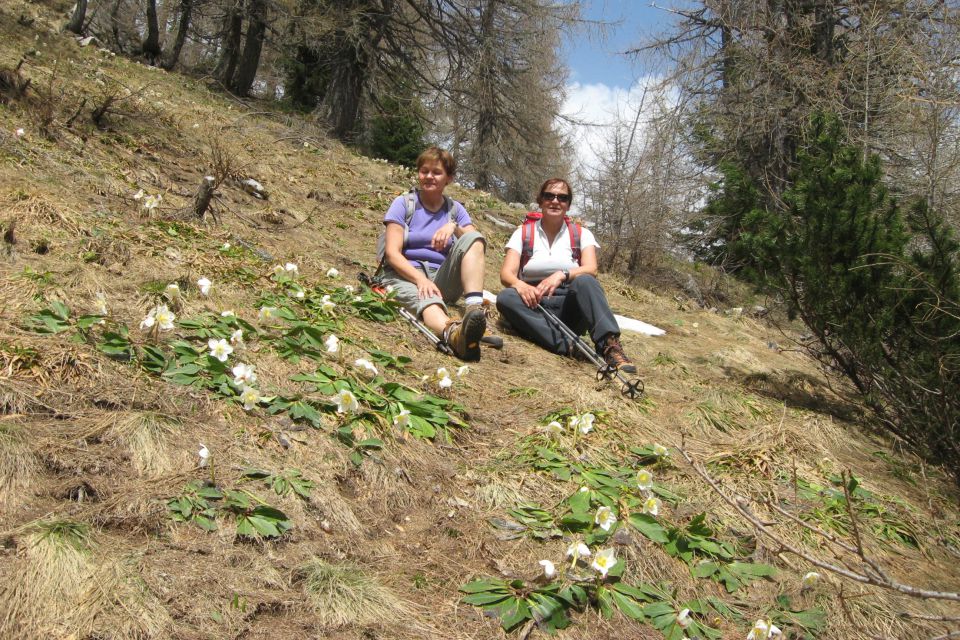 GOLI VRH - 04.05.13 - foto povečava