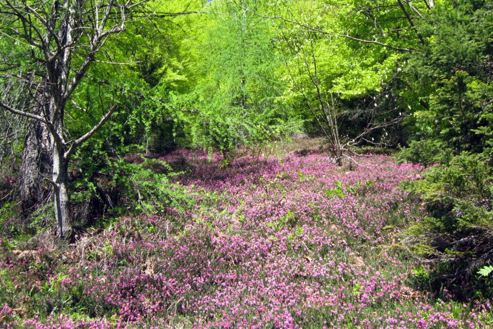 VRTAŠKI vrh 1898m - 14.05.13 - foto povečava