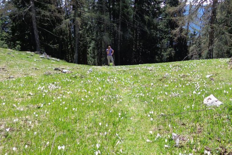 VRTAŠKI vrh 1898m - 14.05.13 - foto povečava