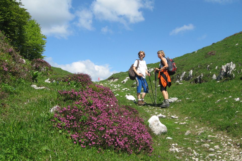 RATITOVEC - 12.06.2013 - foto povečava