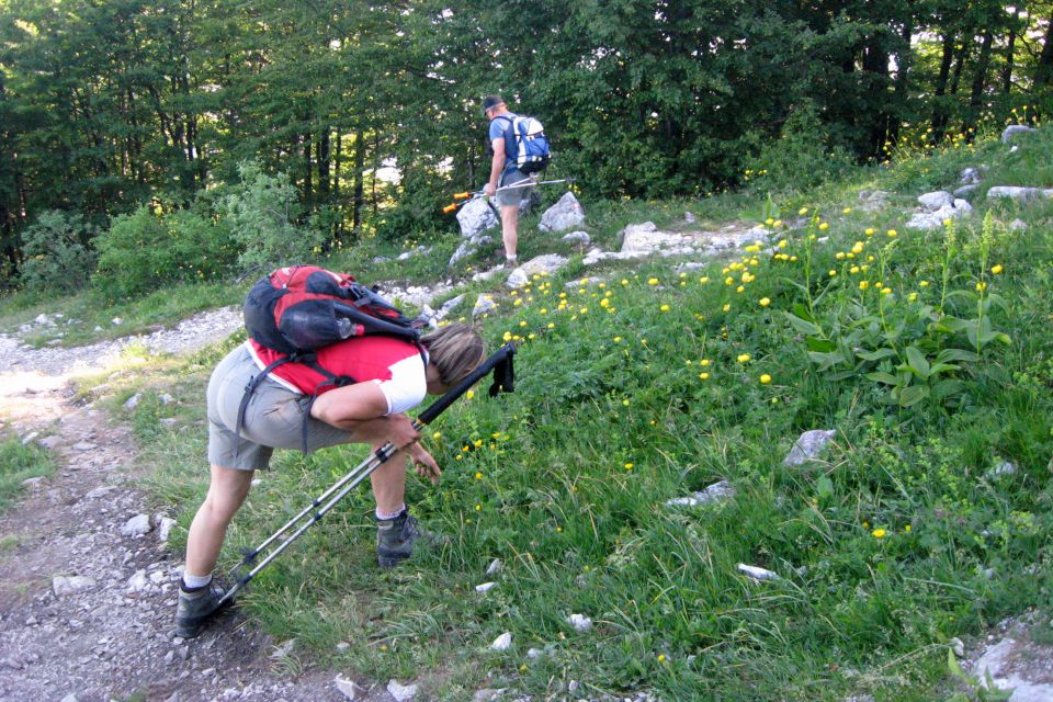 BLEGOŠ - 20.06.2013 - foto povečava