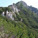 robičje