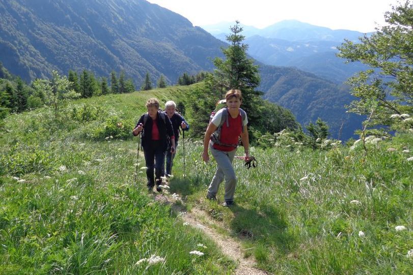 ČRNA PRST z Baškega sedla - 29.06.2013 - foto povečava