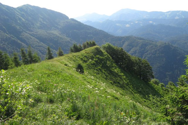 ČRNA PRST z Baškega sedla - 29.06.2013 - foto