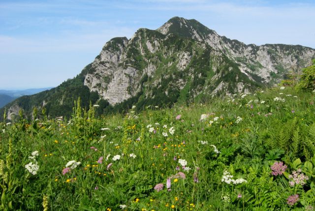 ČRNA PRST z Baškega sedla - 29.06.2013 - foto