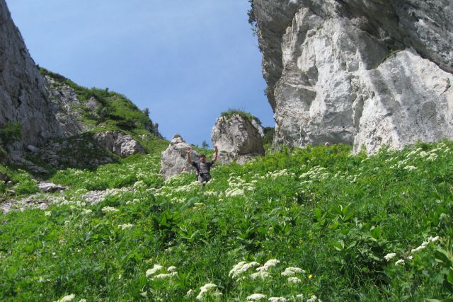 ČRNA PRST z Baškega sedla - 29.06.2013 - foto