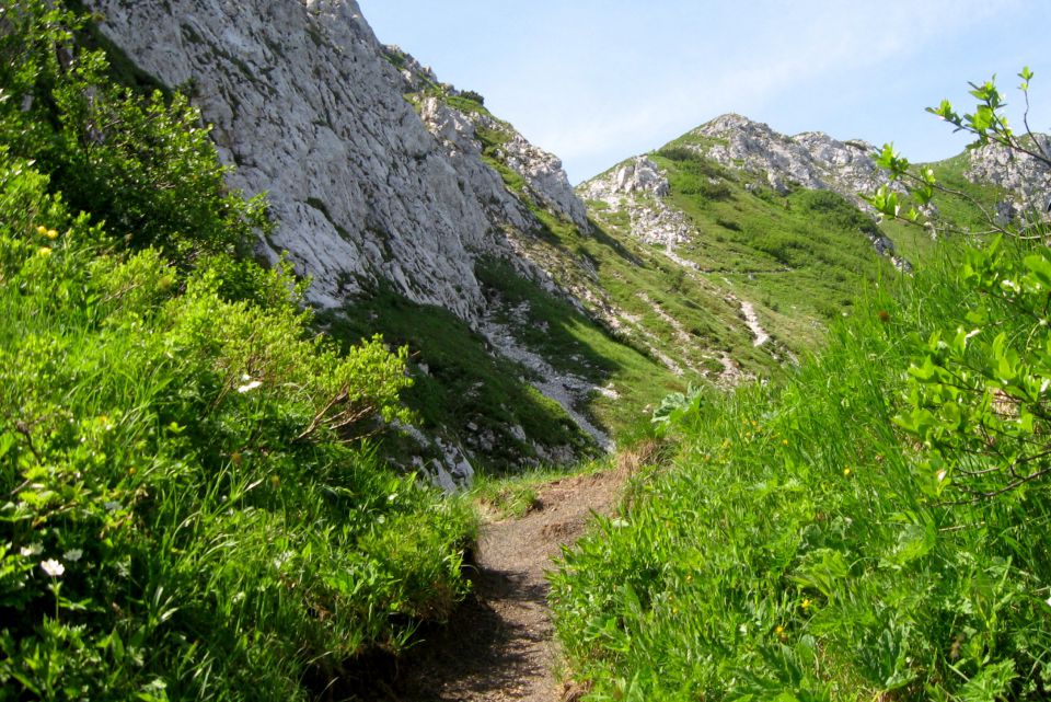 ČRNA PRST z Baškega sedla - 29.06.2013 - foto povečava