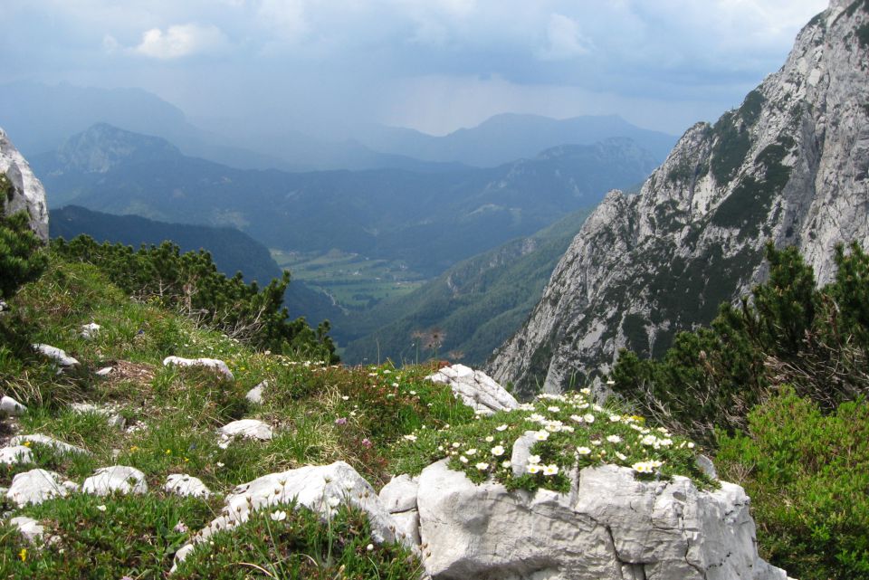 Velika baba z Jenkove planine,  03.07.2013 - foto povečava