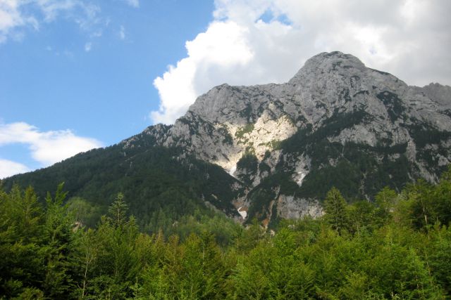 Velika baba z Jenkove planine,  03.07.2013 - foto