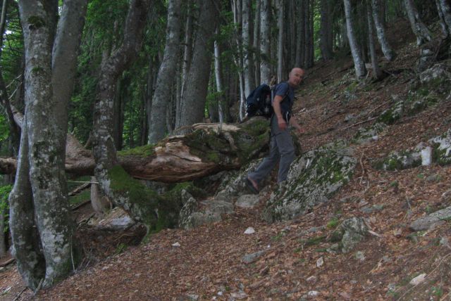 STOL čez Beljščico od Urbasa,  06.07.2013 - foto