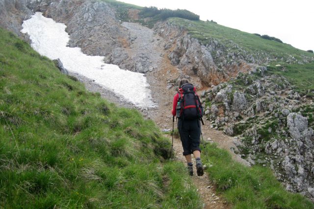 STOL čez Beljščico od Urbasa,  06.07.2013 - foto