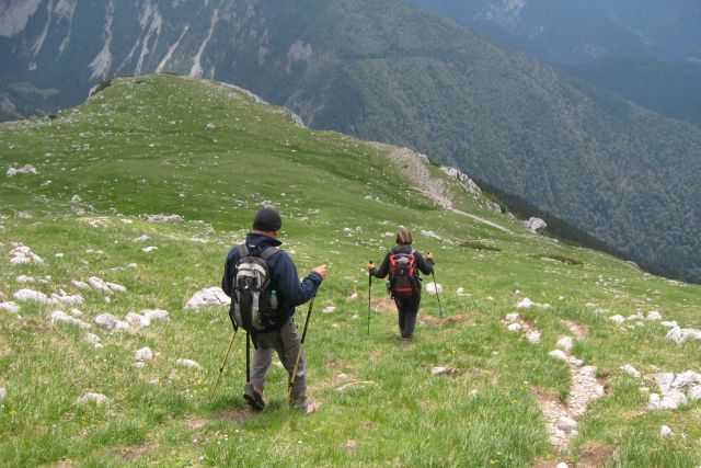 STOL čez Beljščico od Urbasa,  06.07.2013 - foto