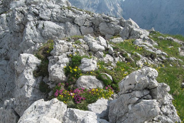 Cojzova + Kalška gora  10.07.2013 - foto