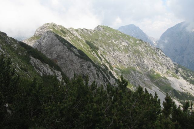 Cojzova + Kalška gora  10.07.2013 - foto