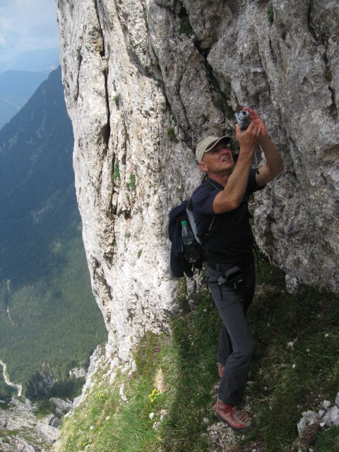 Cojzova + Kalška gora  10.07.2013 - foto