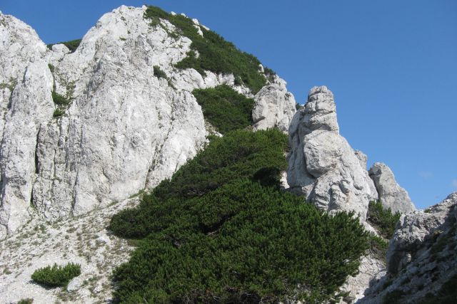 Zelenica,proti Možem + Zelenjak 20.07.13 - foto